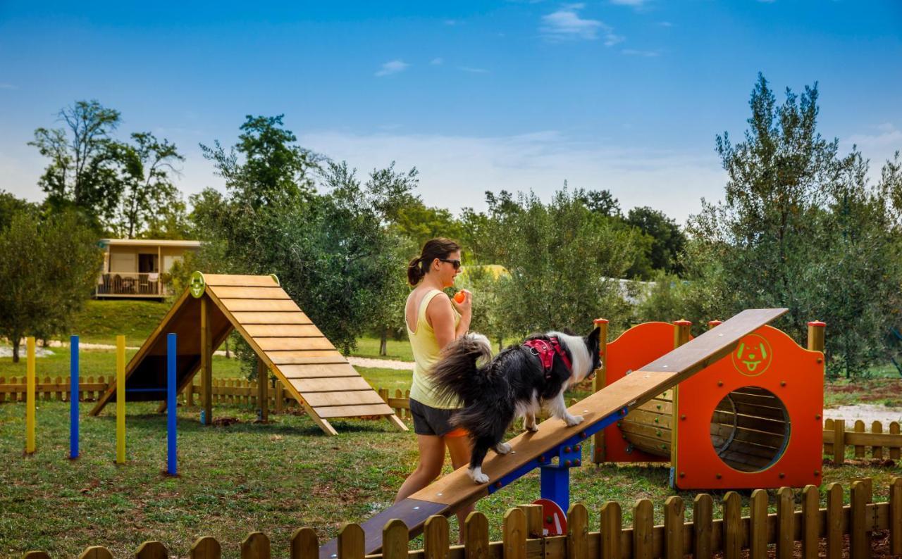 Sunflower Camping Mareda Exteriér fotografie
